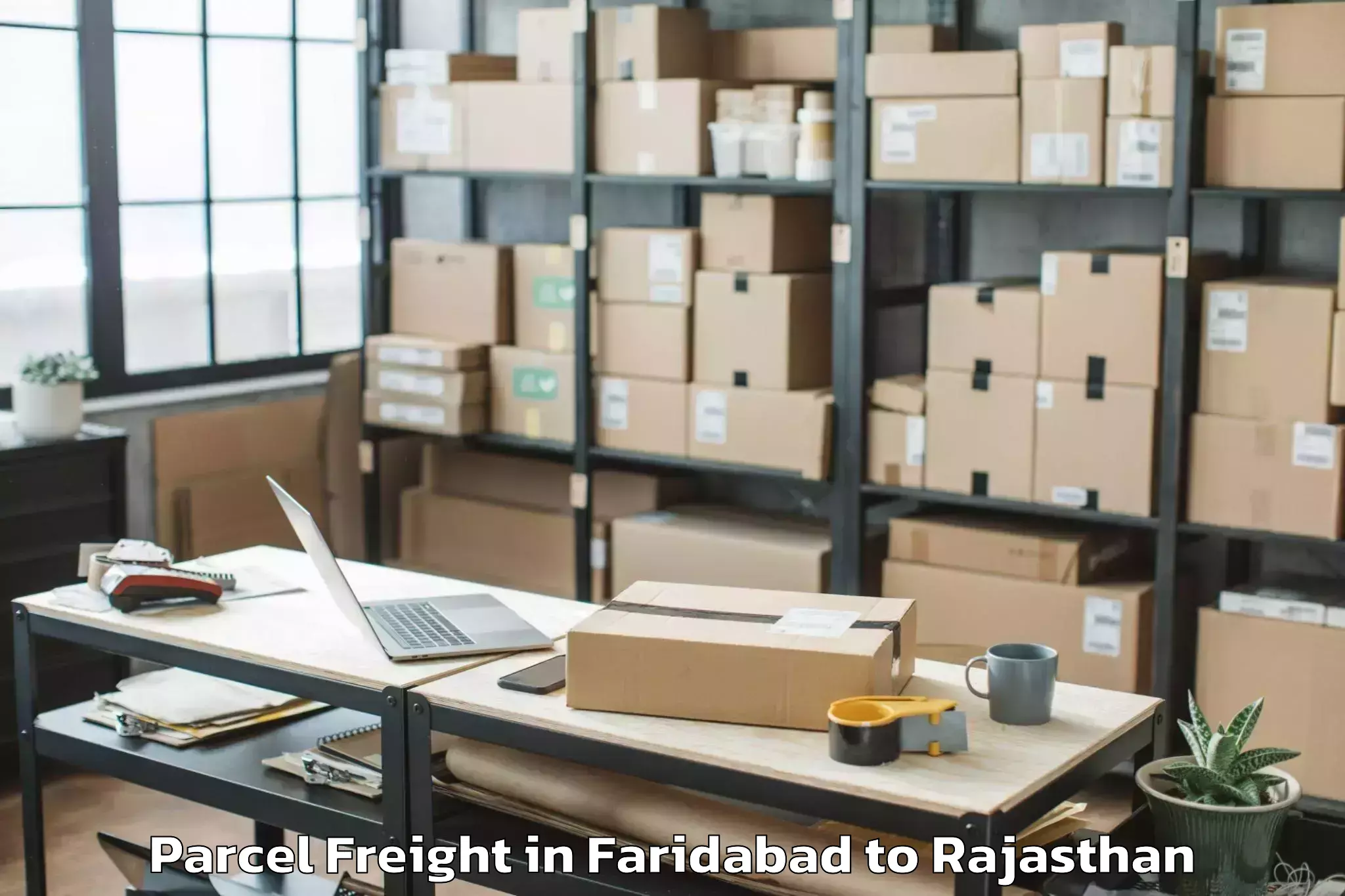 Discover Faridabad to Lalsot Parcel Freight